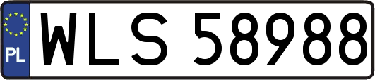 WLS58988