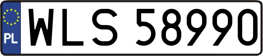 WLS58990