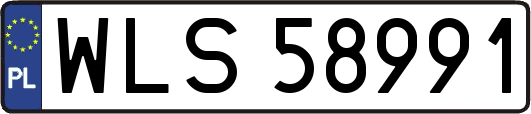 WLS58991