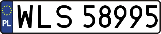 WLS58995