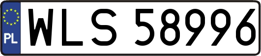 WLS58996