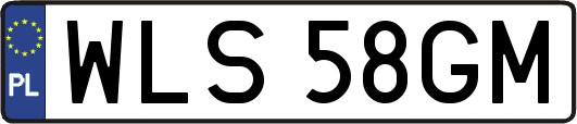 WLS58GM