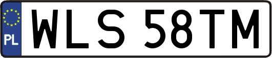 WLS58TM
