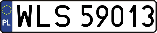 WLS59013