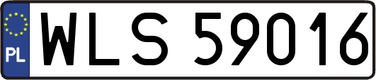 WLS59016