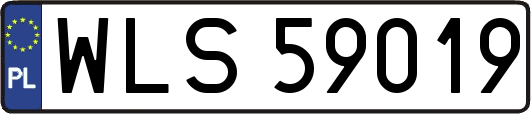 WLS59019