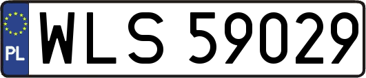 WLS59029