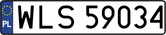 WLS59034