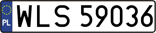 WLS59036