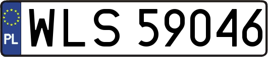 WLS59046
