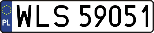 WLS59051