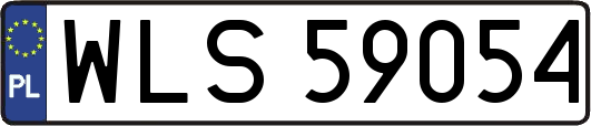 WLS59054