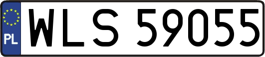 WLS59055