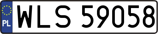 WLS59058