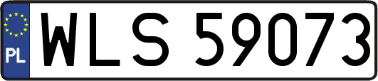 WLS59073