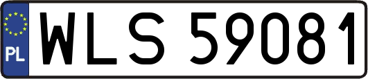 WLS59081