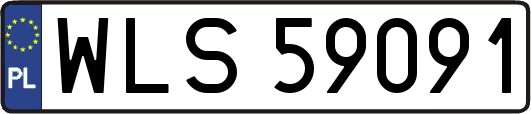 WLS59091