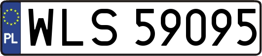 WLS59095