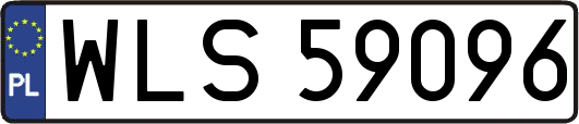 WLS59096