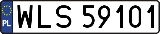WLS59101