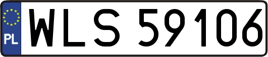 WLS59106