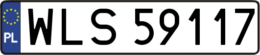 WLS59117