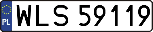 WLS59119