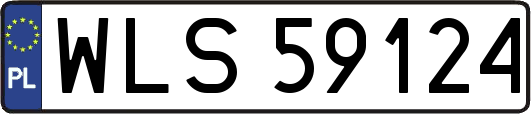 WLS59124