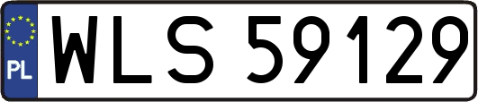 WLS59129