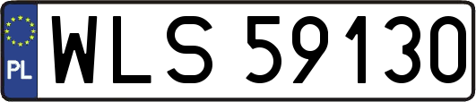 WLS59130