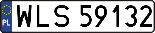 WLS59132