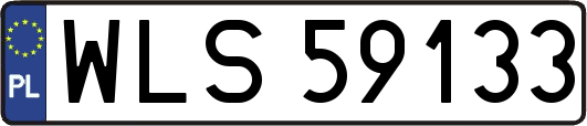 WLS59133