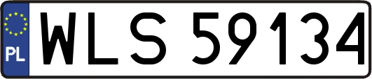 WLS59134