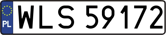 WLS59172