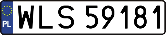 WLS59181