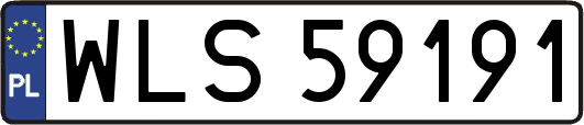 WLS59191