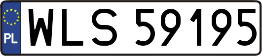 WLS59195