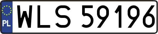 WLS59196