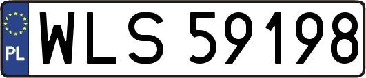 WLS59198
