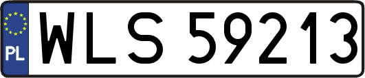 WLS59213