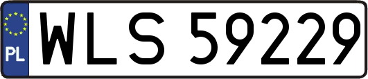 WLS59229