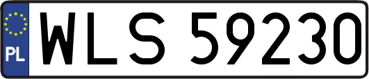 WLS59230