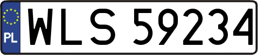 WLS59234