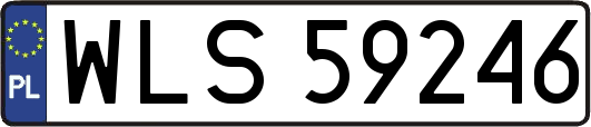 WLS59246