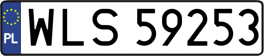 WLS59253