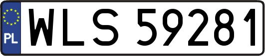 WLS59281