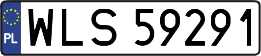 WLS59291