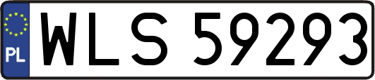 WLS59293