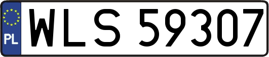 WLS59307