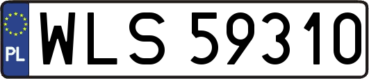 WLS59310
